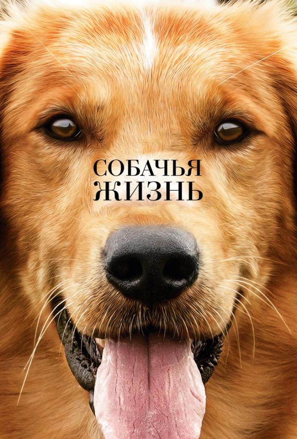 Фильм Собачья жизнь (2017) смотреть онлайн в хорошем качестве